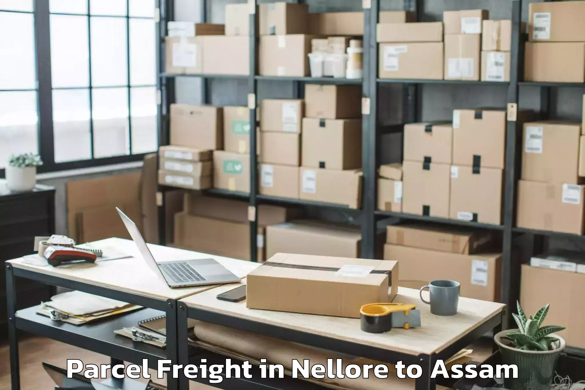 Book Your Nellore to Lalapur Hailakandi Parcel Freight Today